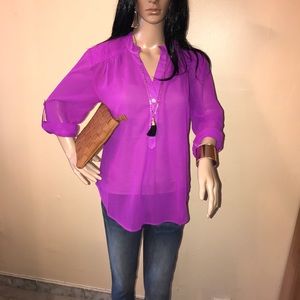 Sheer Long Sleeve Blouse
